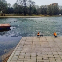 57049056_2405558056332539_8254409500568584192_n 57049056_2405558056332539_8254409500568584192_n