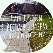 57257065_2405557916332553_1296498773798682624_n Экскурсия