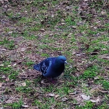 57366618_2405558089665869_3065020255928582144_n 57366618_2405558089665869_3065020255928582144_n